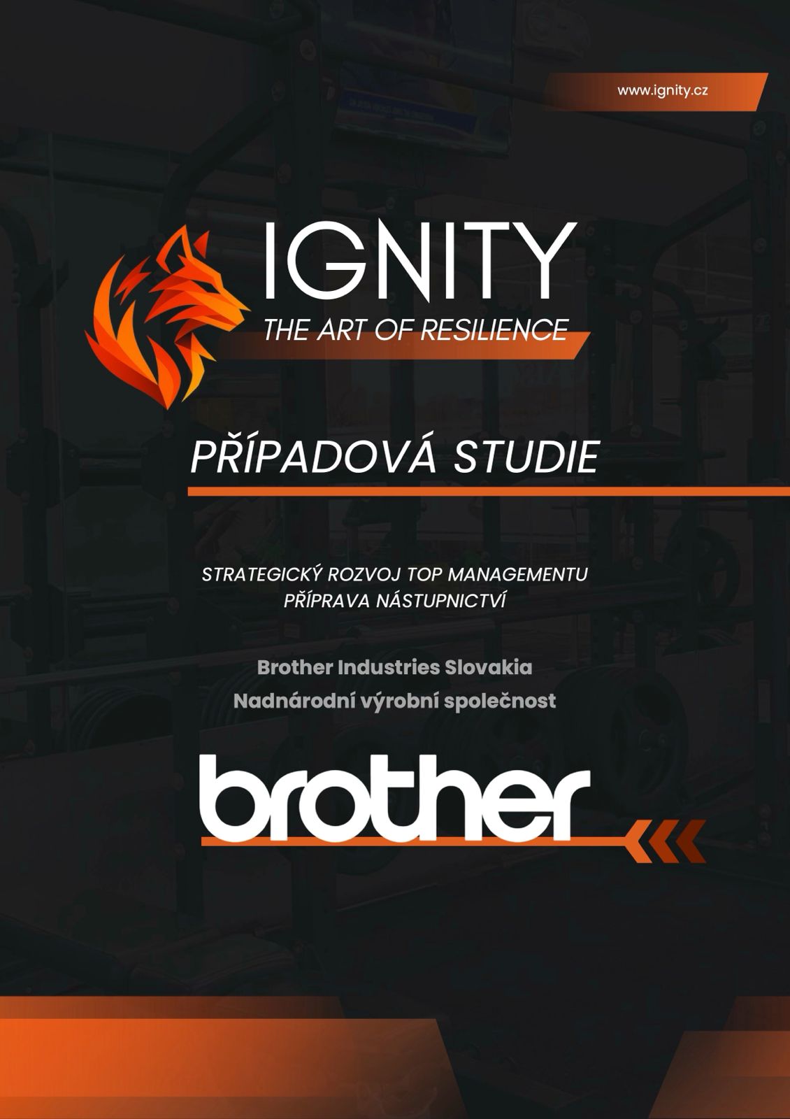 Případová studie Brother